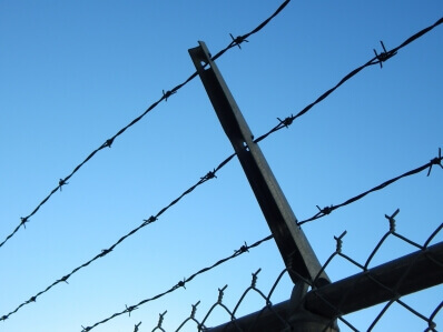 Detail Barbed Wire Fence Pictures Nomer 36