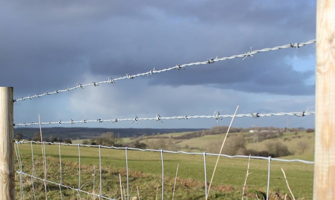 Detail Barbed Wire Fence Pictures Nomer 50