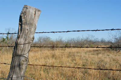 Detail Barbed Wire Fence Pictures Nomer 9