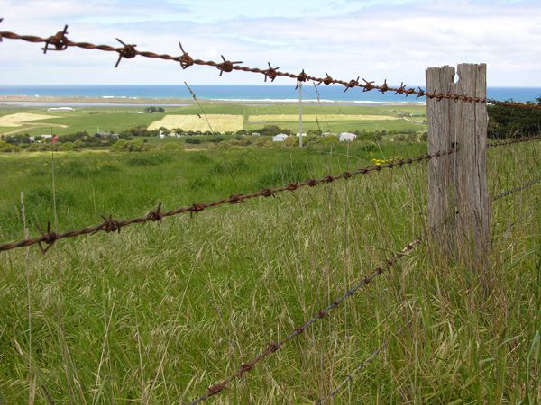 Detail Barbed Wire Fence Pictures Nomer 10