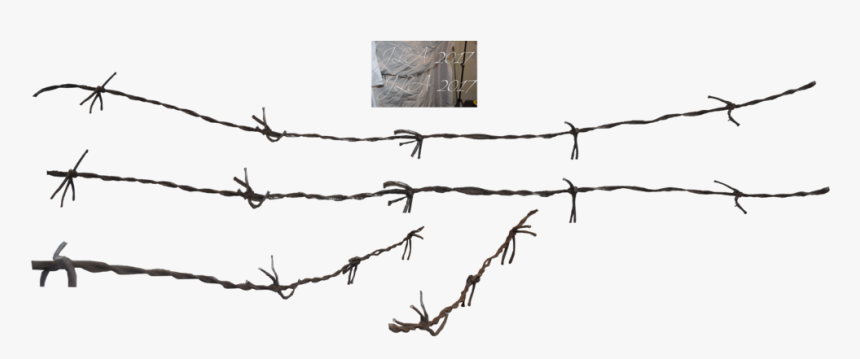 Detail Barbed Wire Fence Png Nomer 30