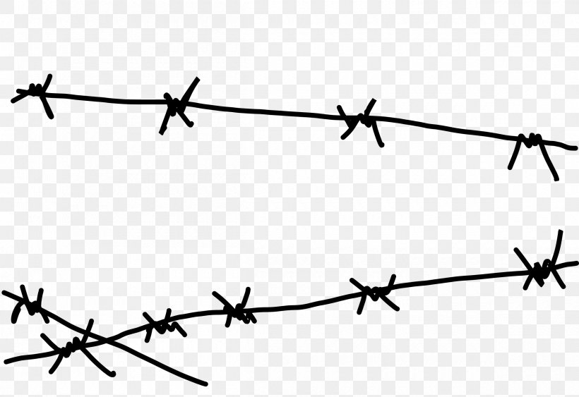 Detail Barbed Wire Frame Png Nomer 54