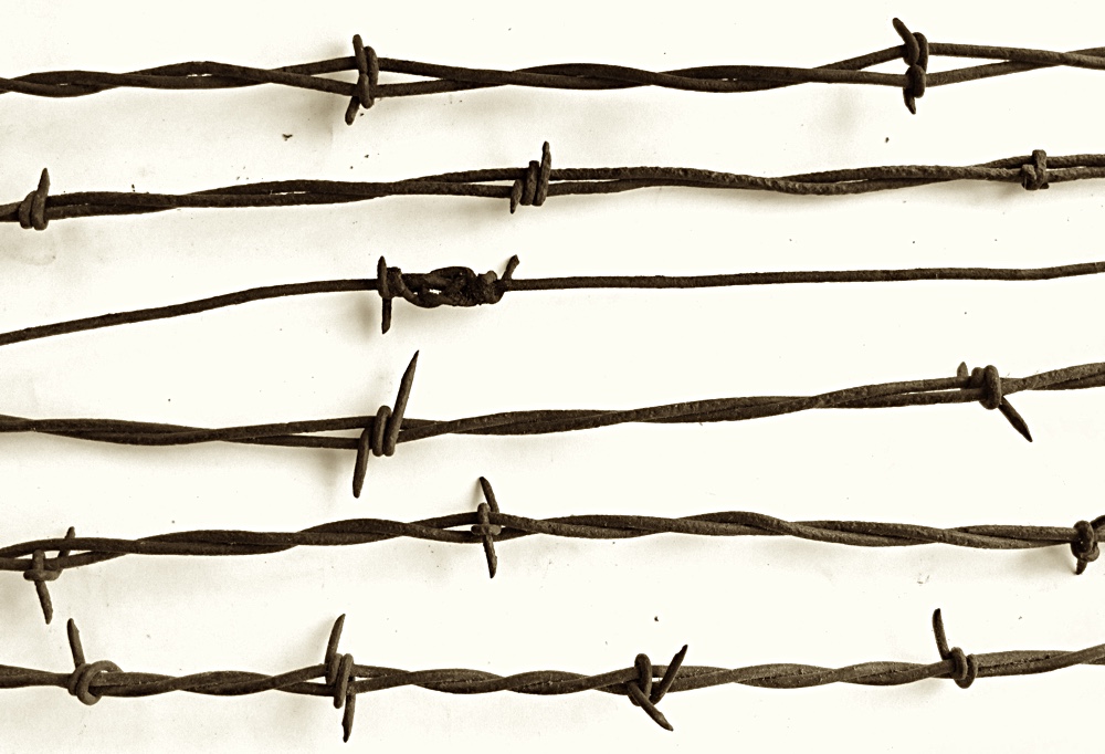 Detail Barbed Wire Images Nomer 10
