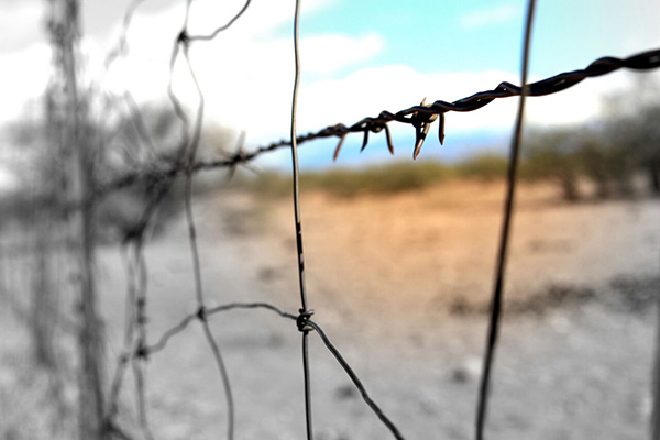 Detail Barbed Wire Images Nomer 30