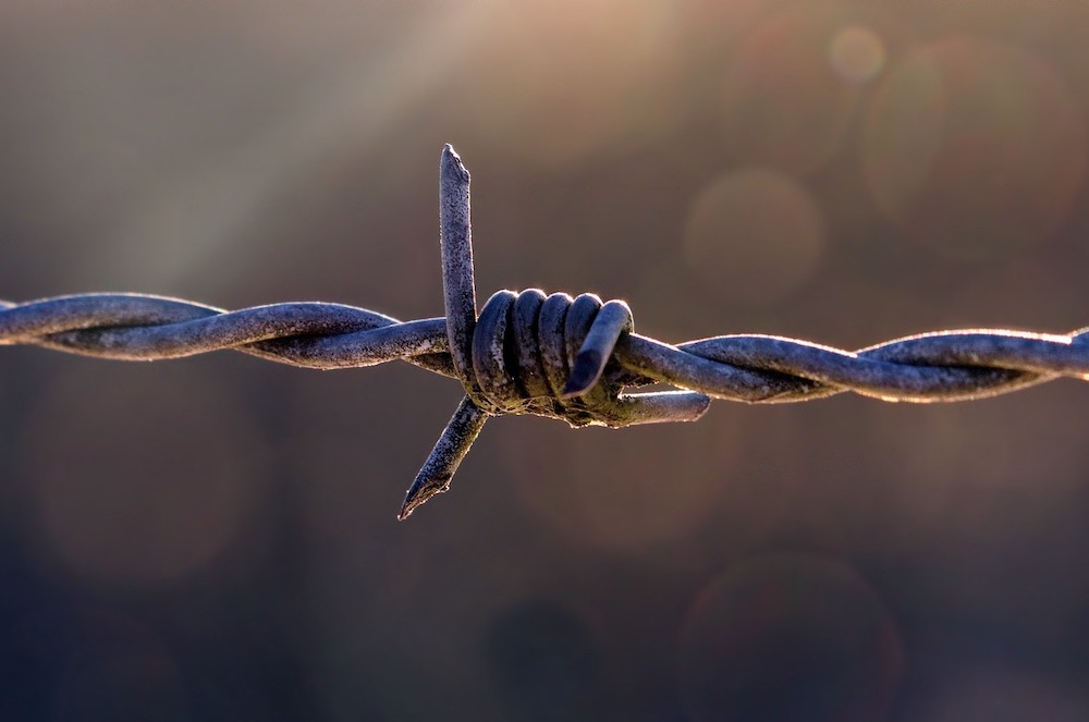 Detail Barbed Wire Images Nomer 41