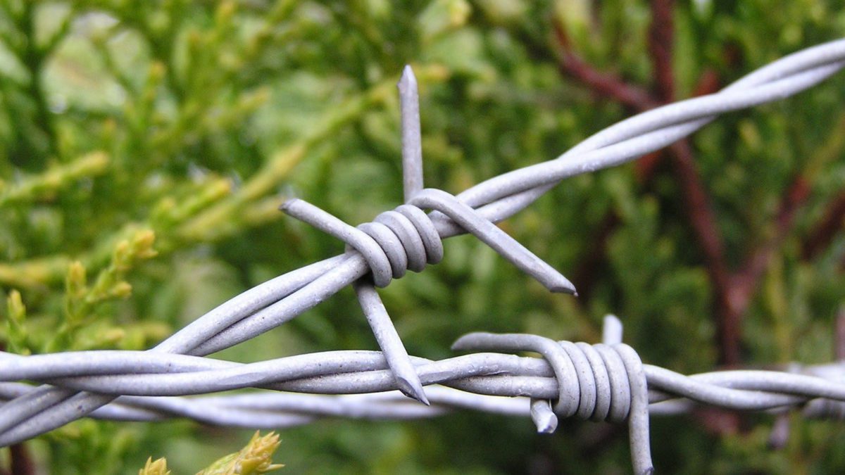 Detail Barbed Wire Images Nomer 50