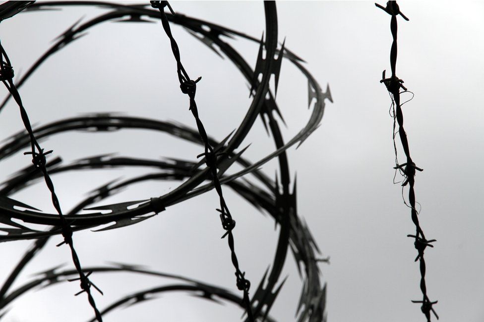 Detail Barbed Wire Images Nomer 9