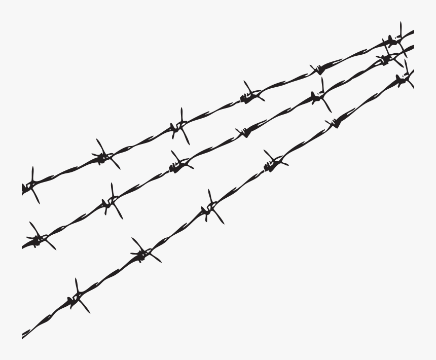 Detail Barbed Wire Png Transparent Nomer 3