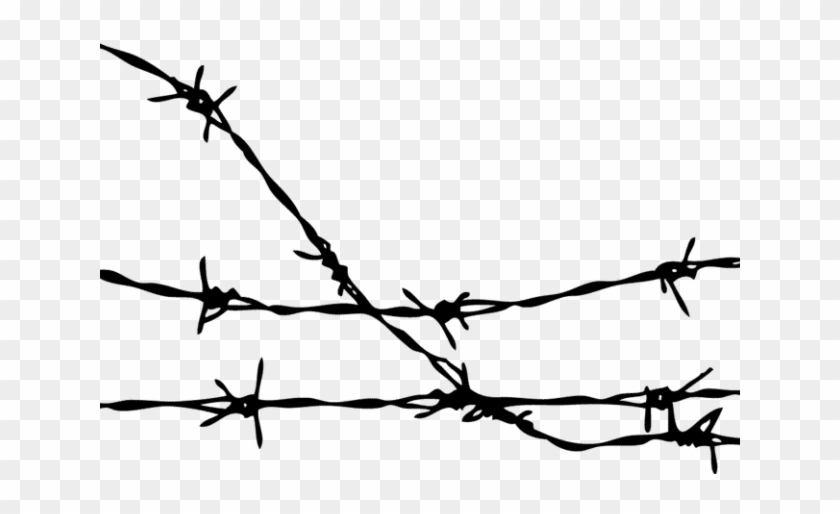 Detail Barbed Wire Transparent Nomer 16