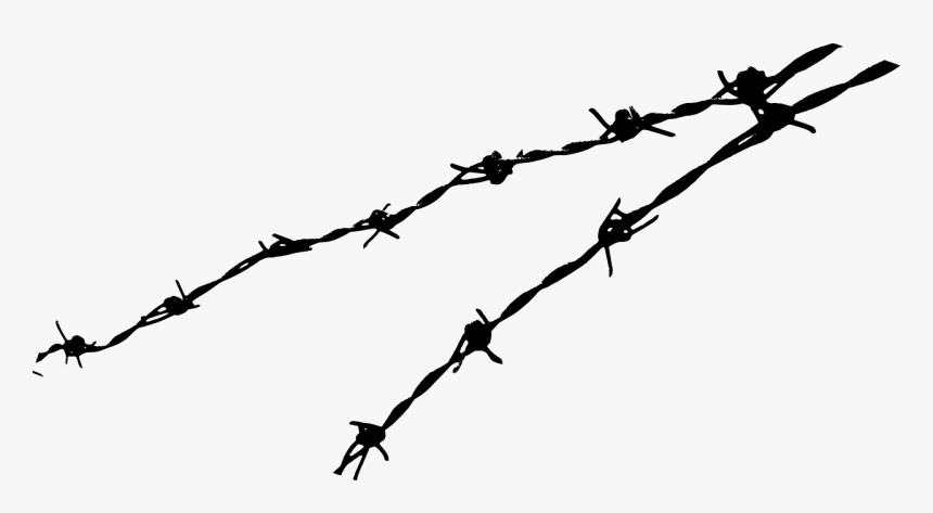 Detail Barbed Wire Transparent Nomer 28