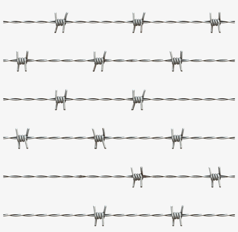 Detail Barbed Wire Transparent Nomer 30