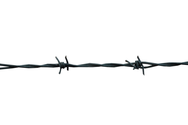 Detail Barbed Wire Transparent Nomer 37
