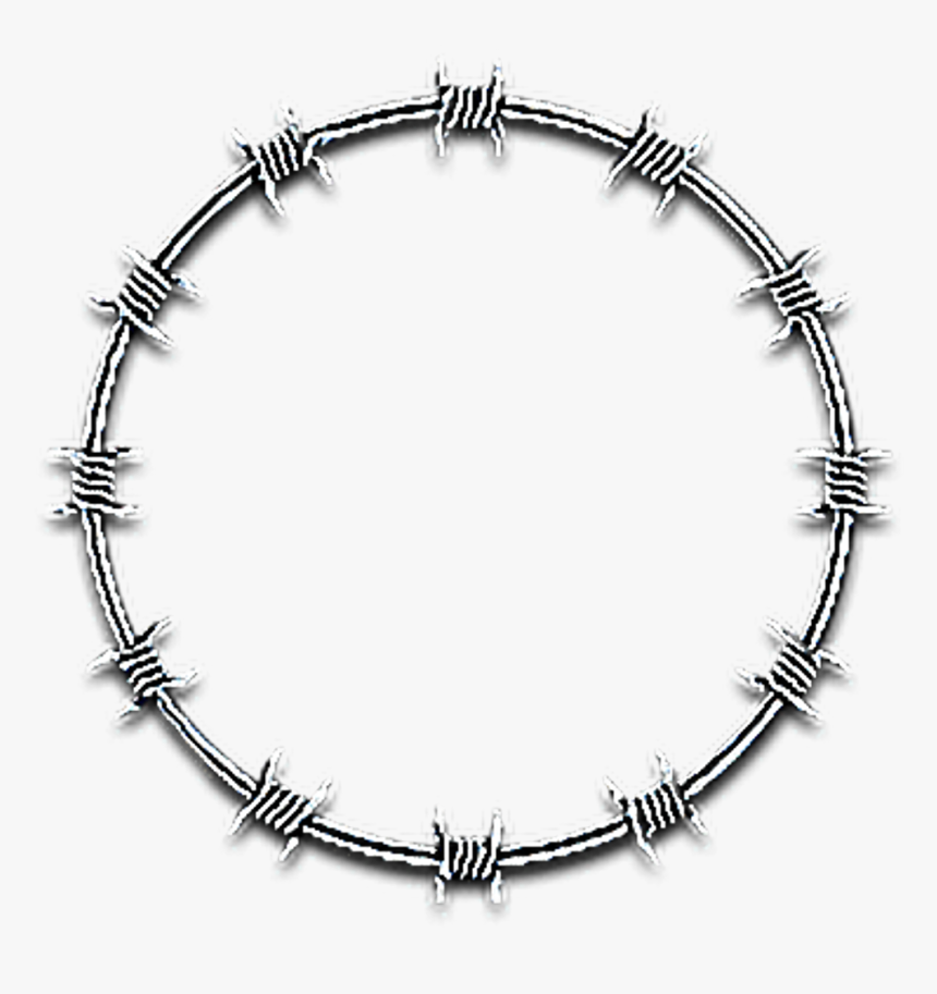 Detail Barbed Wire Transparent Nomer 40