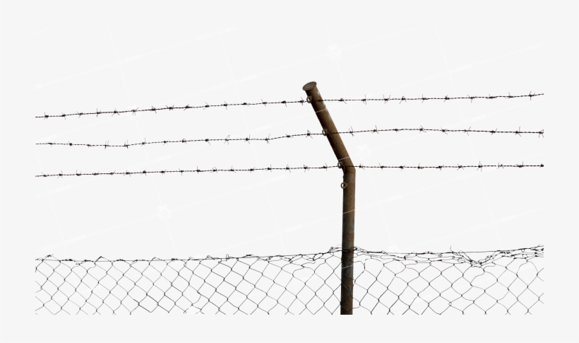 Detail Barbed Wire Transparent Nomer 42