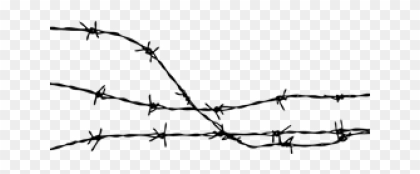 Detail Barbed Wire Transparent Nomer 50