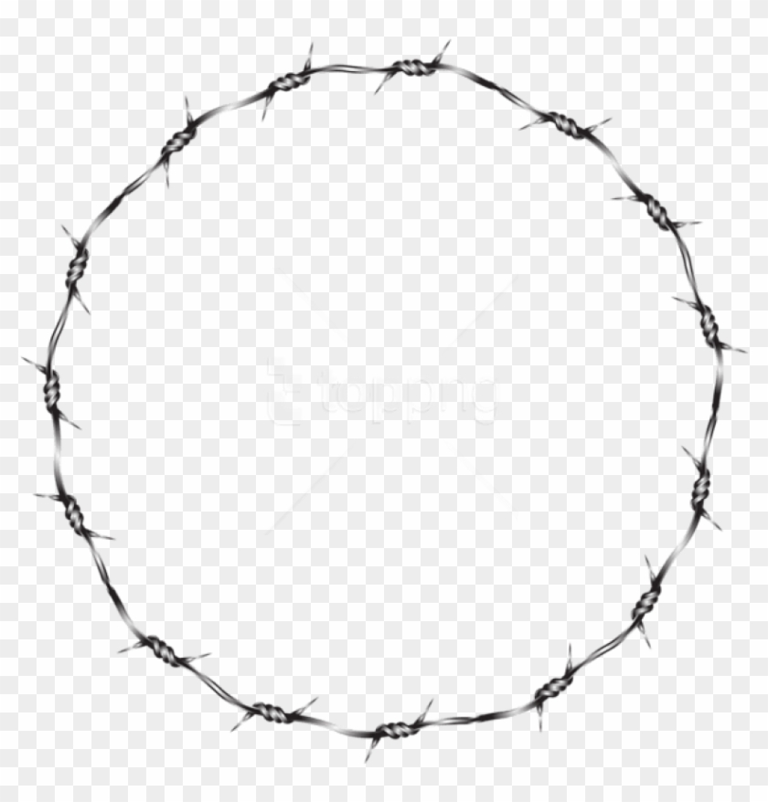 Detail Barbed Wire Transparent Background Nomer 25