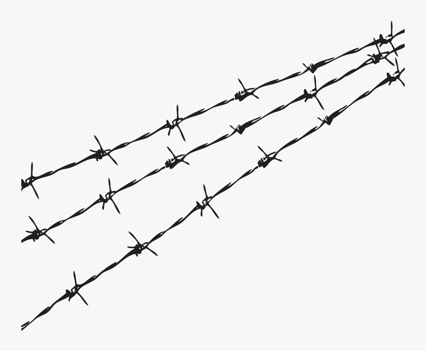 Detail Barbed Wire Transparent Background Nomer 2
