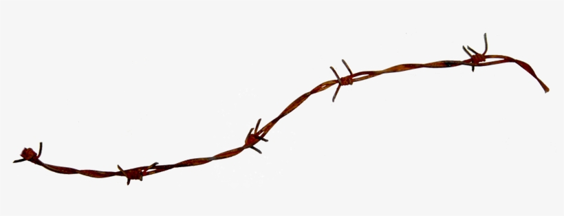Detail Barbed Wire Transparent Background Nomer 29