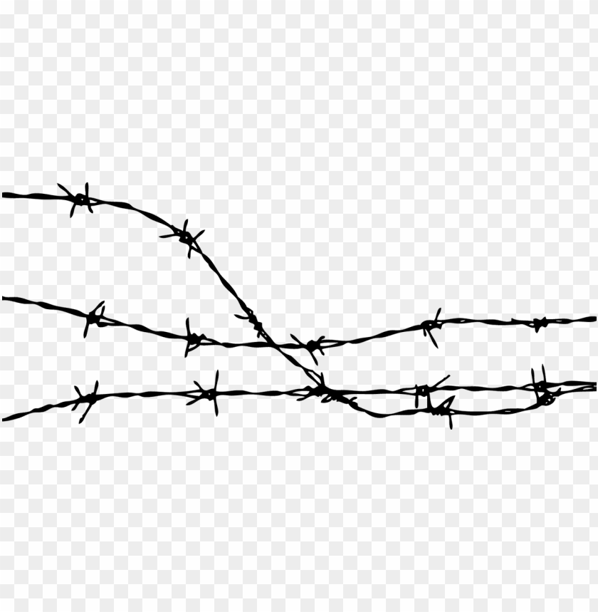 Detail Barbed Wire Transparent Background Nomer 4