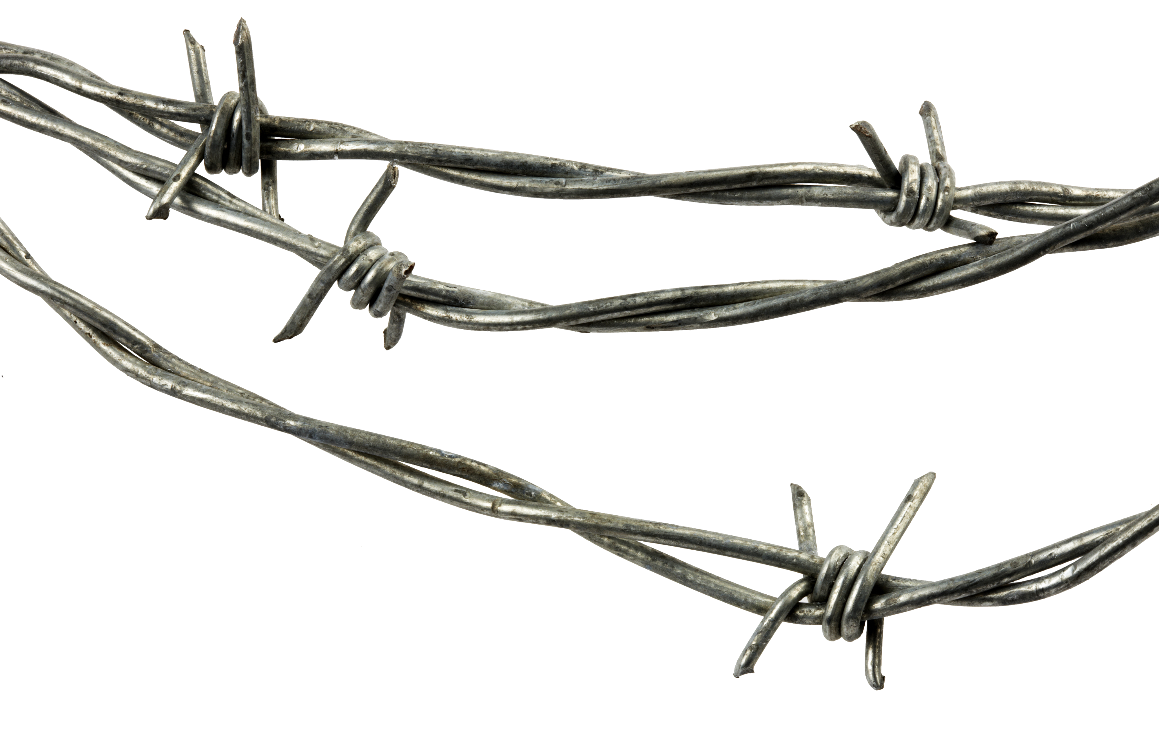 Detail Barbed Wire Transparent Background Nomer 5