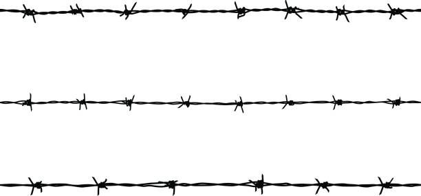 Detail Barbed Wire Vector Png Nomer 28
