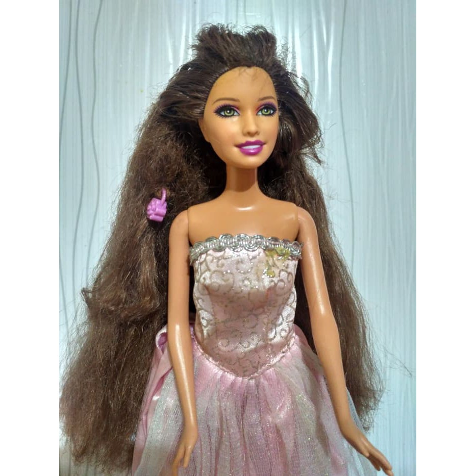 Download Barbie Rambut Panjang Nomer 27