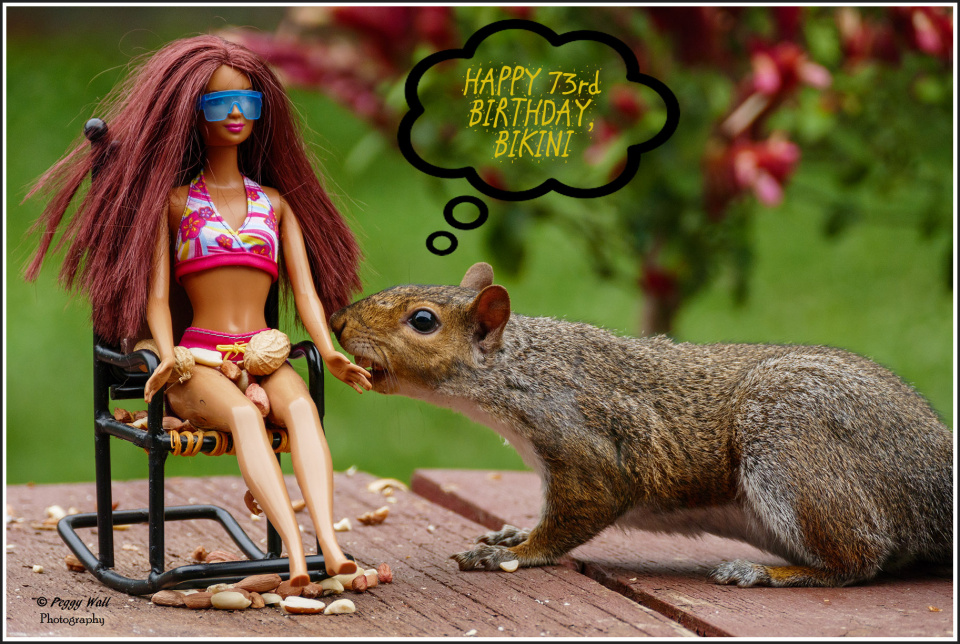 Detail Barbie Squirrel Lady Edition Nomer 18