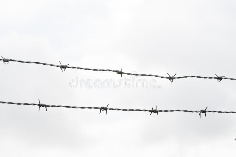Detail Barbwire Cam Nomer 10