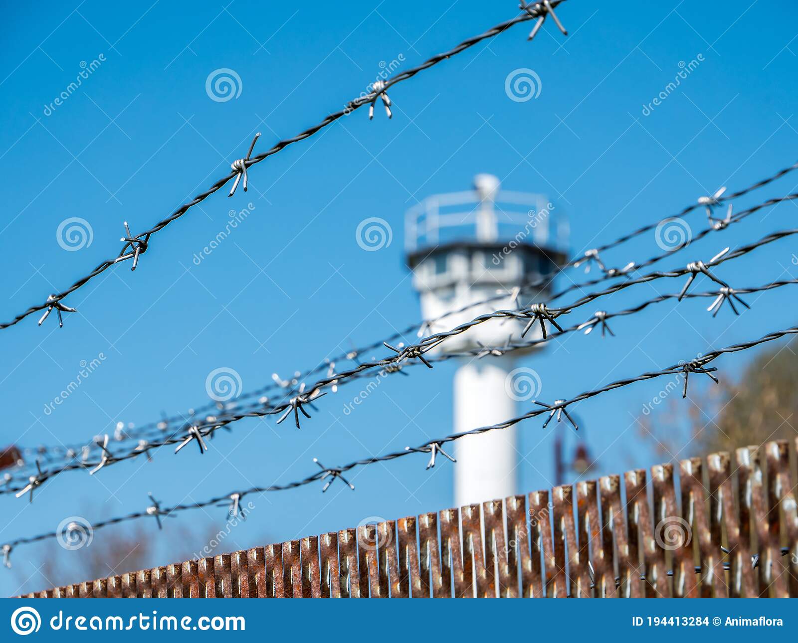 Detail Barbwire Cam Nomer 12