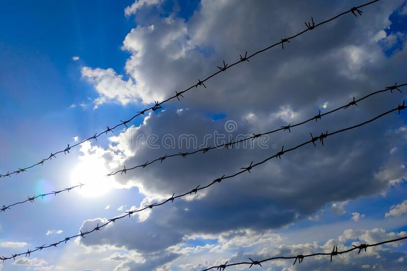 Detail Barbwire Cam Nomer 14