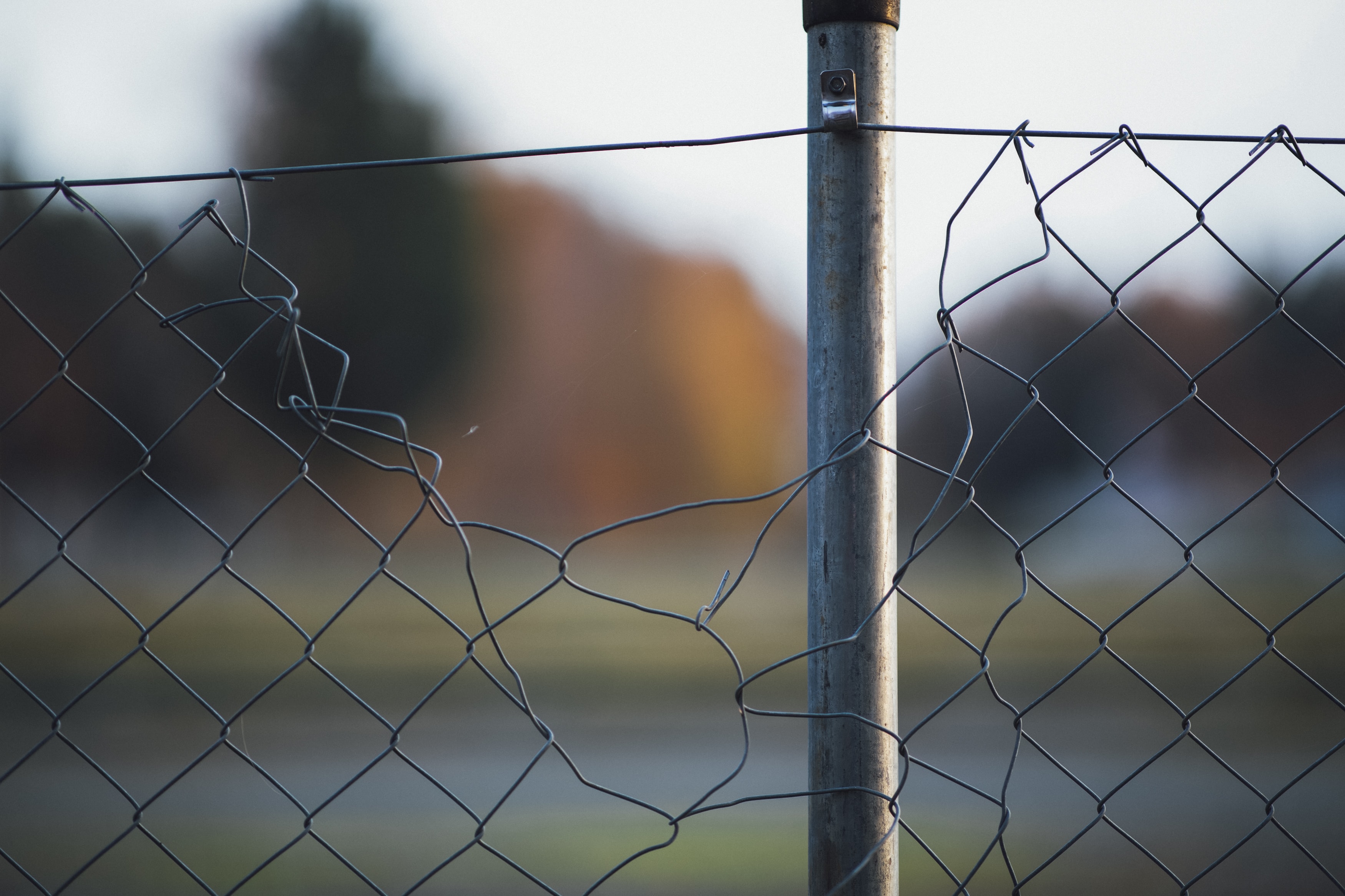 Detail Barbwire Cam Nomer 16
