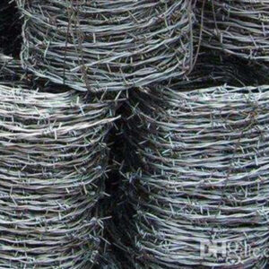 Detail Barbwire Cam Nomer 17