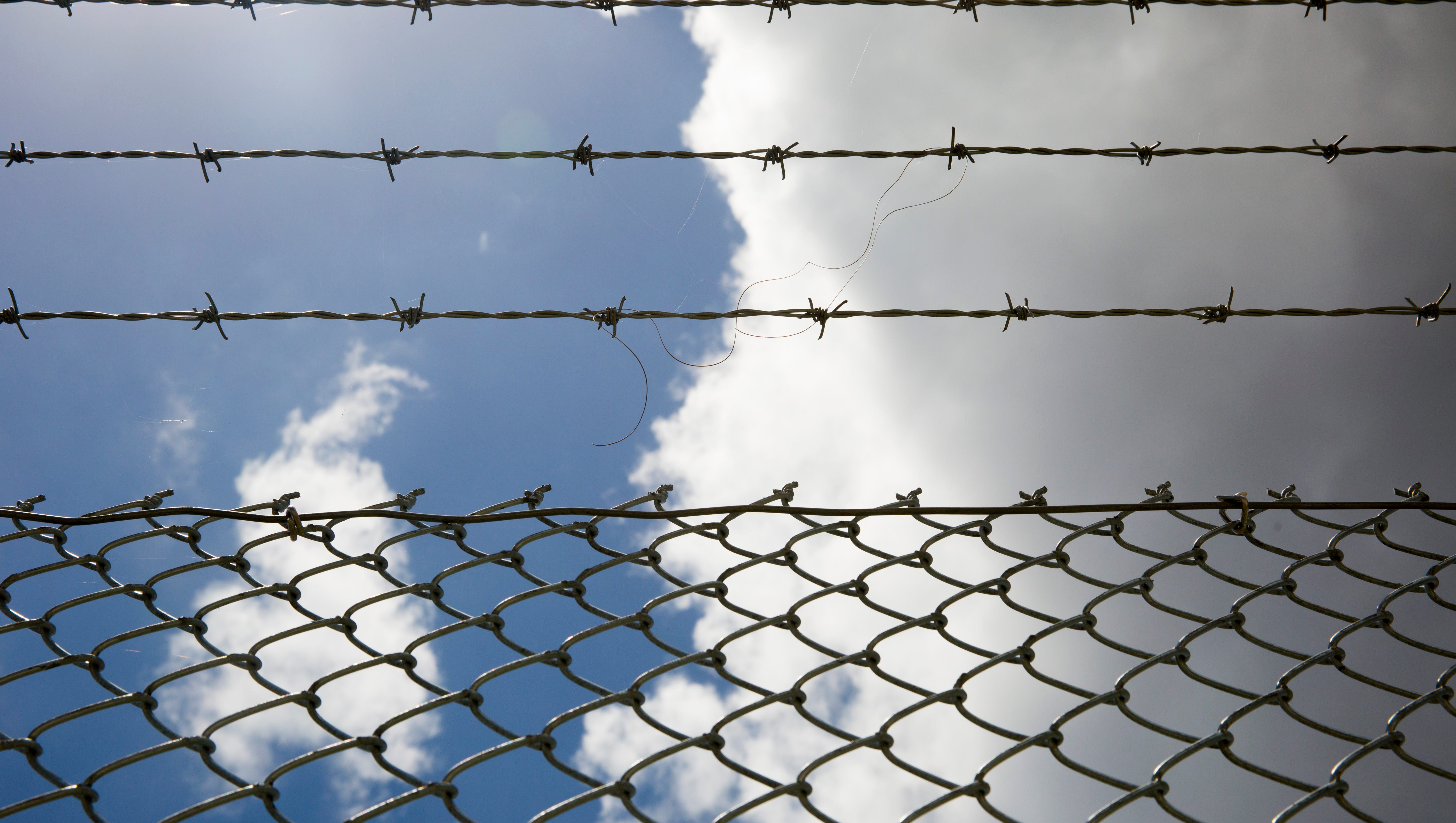 Detail Barbwire Cam Nomer 40