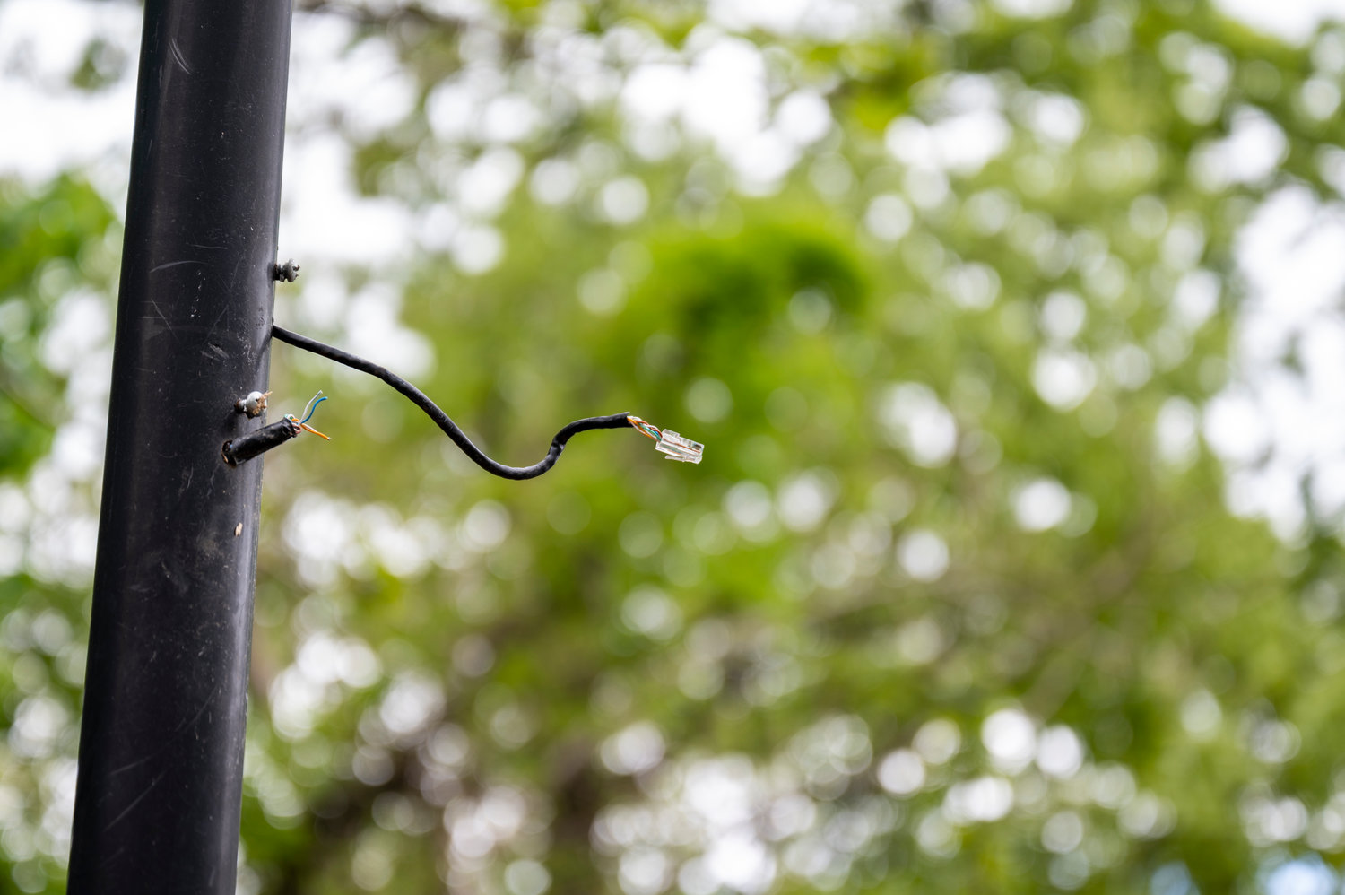 Detail Barbwire Cam Nomer 42