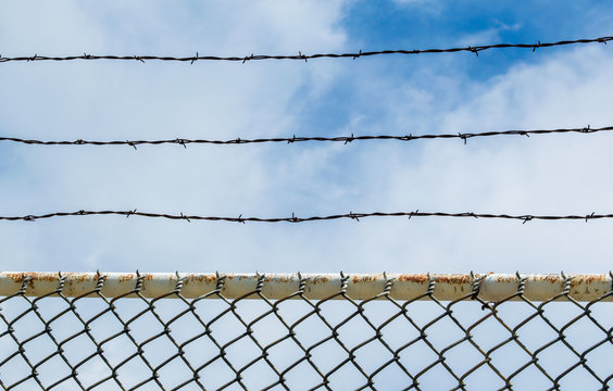 Detail Barbwire Cam Nomer 45