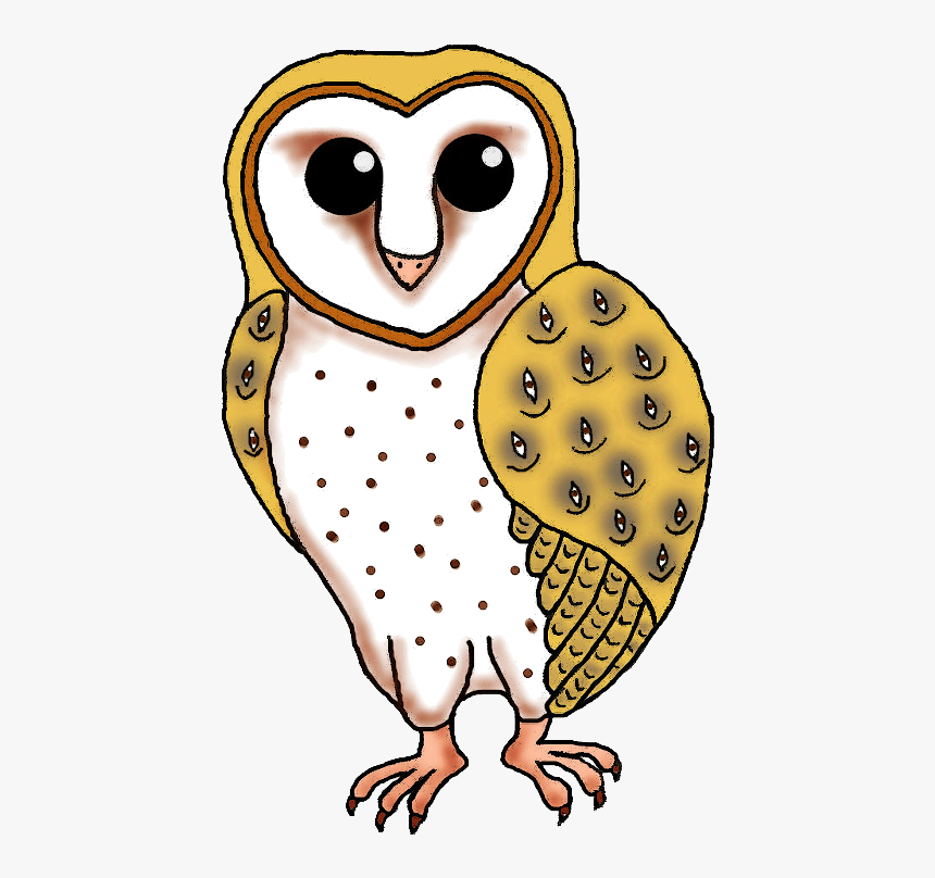 Detail Barn Owl Png Nomer 25