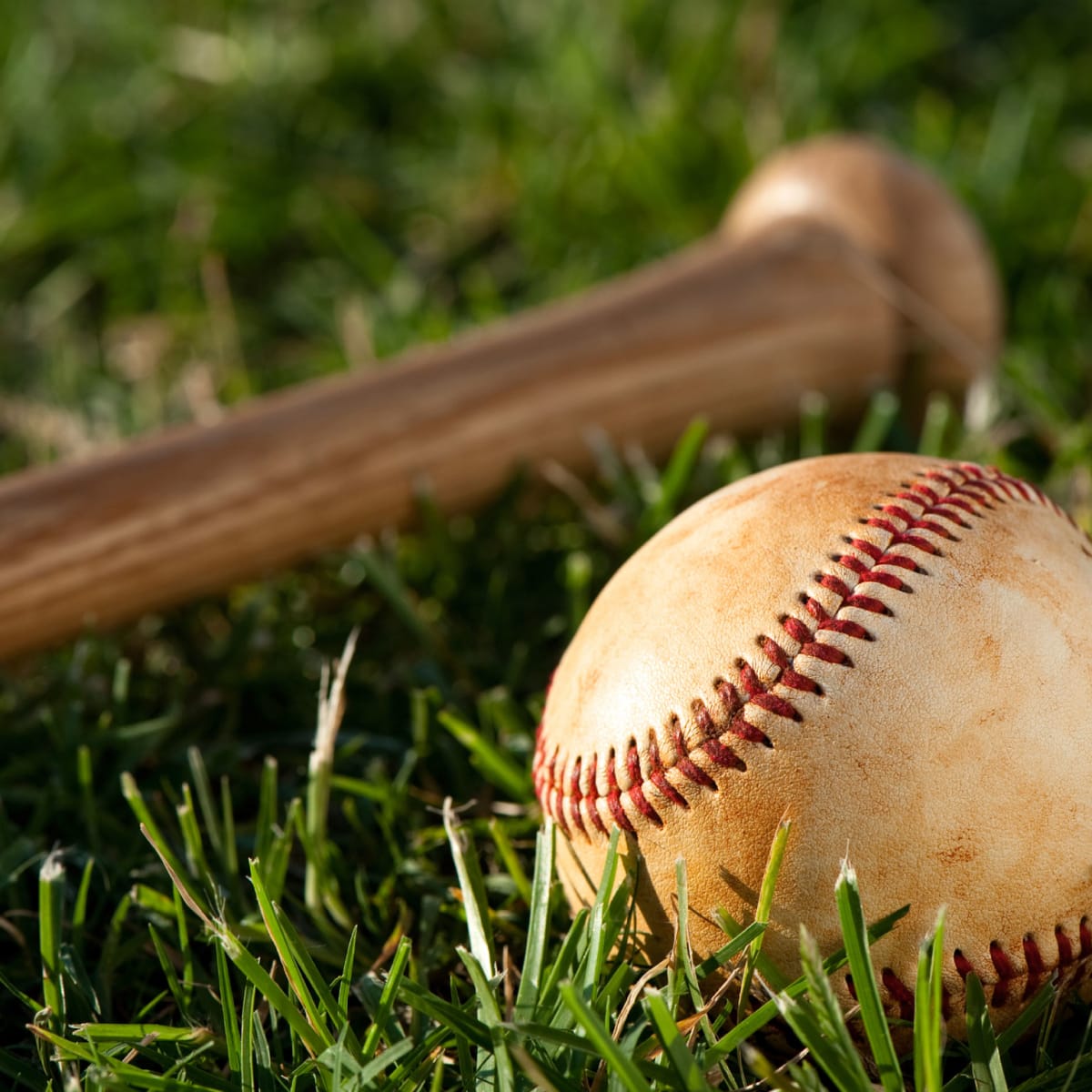 Detail Base Ball Images Nomer 3