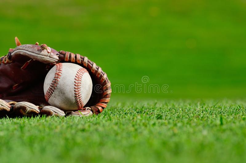 Detail Baseball Image Free Nomer 12