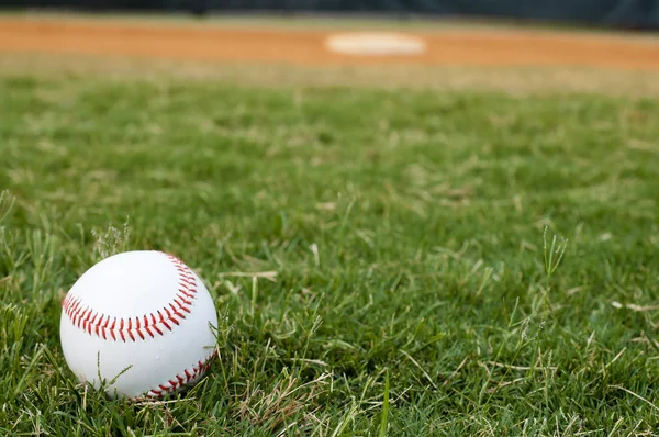 Detail Baseball Image Free Nomer 34