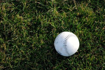Detail Baseball Image Free Nomer 36