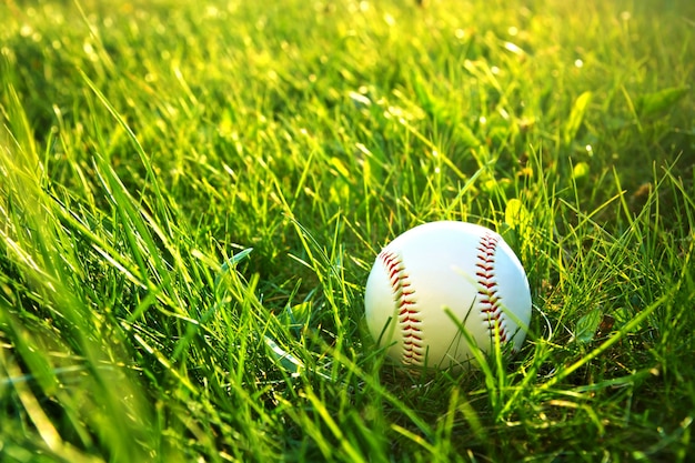Detail Baseball Image Free Nomer 44