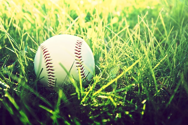 Detail Baseball Image Free Nomer 54