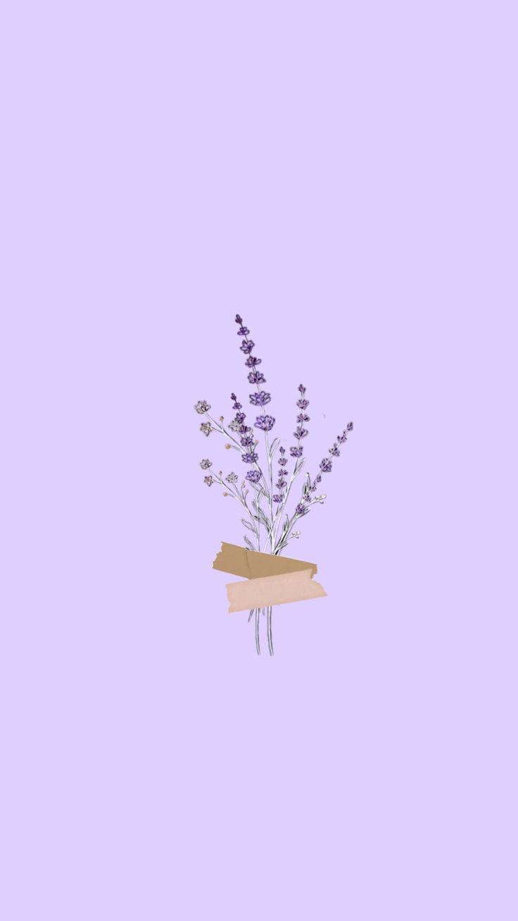 Detail Basic Wallpaper Nomer 27