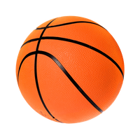 Detail Basketballs Png Nomer 10