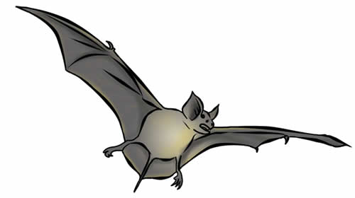 Detail Bat Clip Art Free Nomer 48