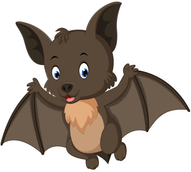 Detail Bat Clipart Nomer 41