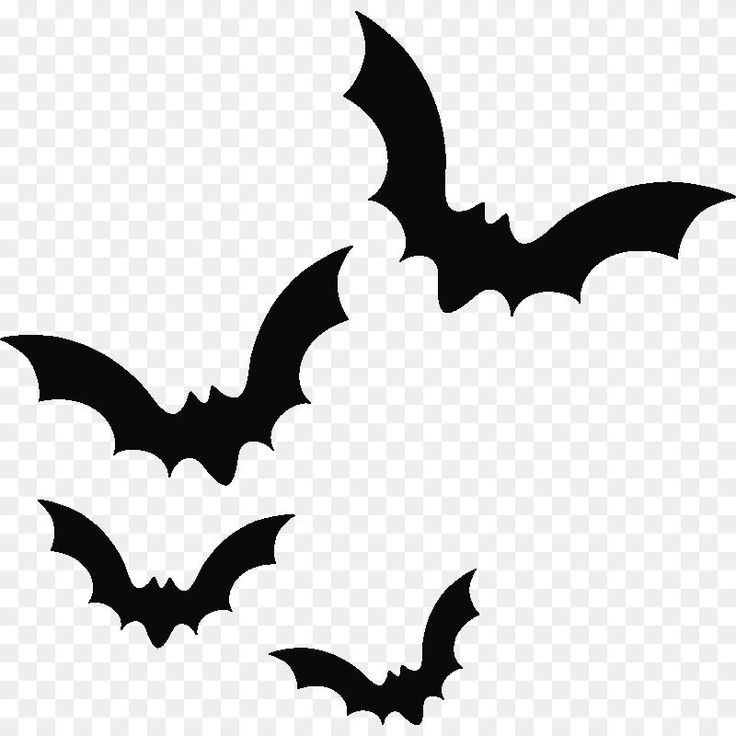 Detail Bat Clipart Images Nomer 18