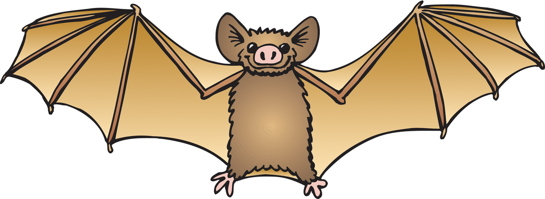 Detail Bat Clipart Images Nomer 41