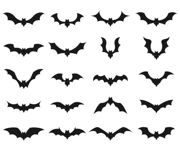 Detail Bat Clipart Images Nomer 44