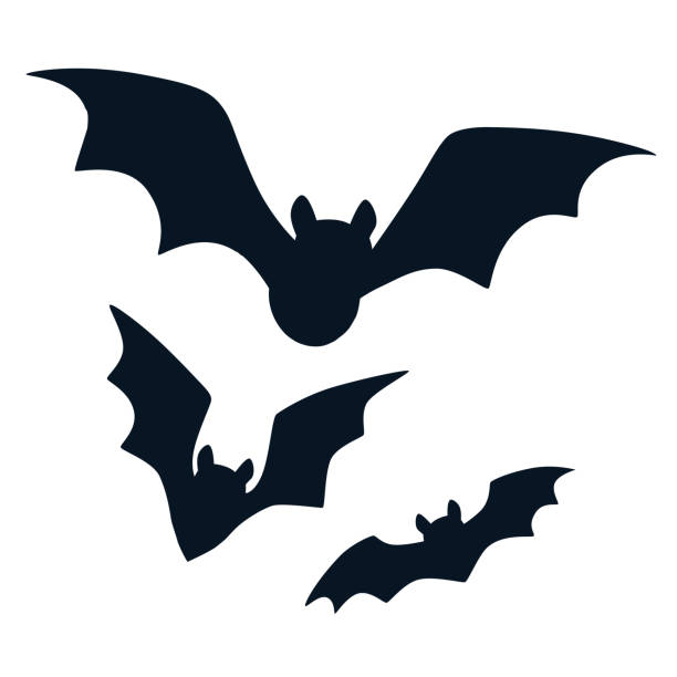 Detail Bat Clipart Images Nomer 7